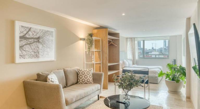 Serviced apartment with 2 rooms for 7 persons in Mexico City