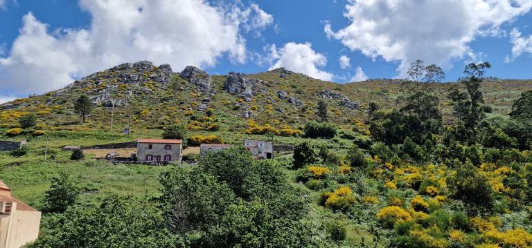 foto21