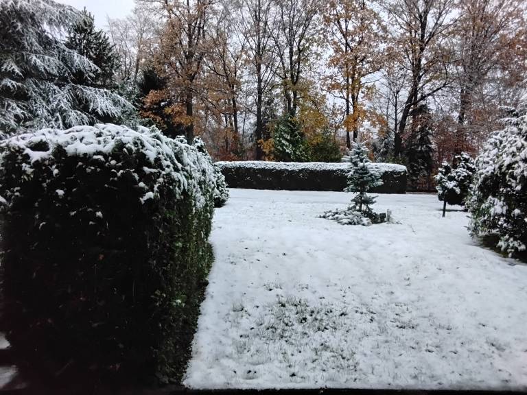foto10
