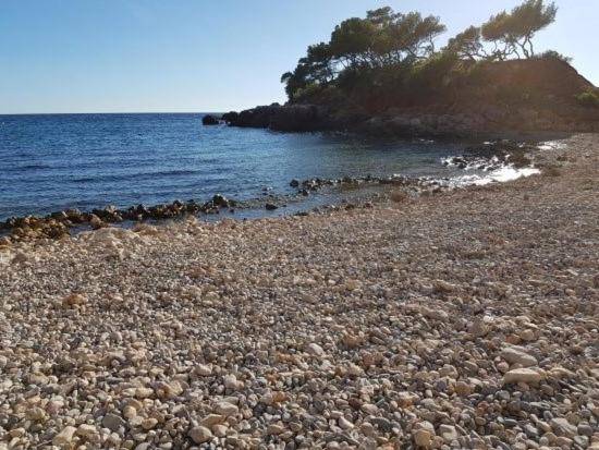 Wonderful rental apartment with terrace | Pets are welcome in Bandol