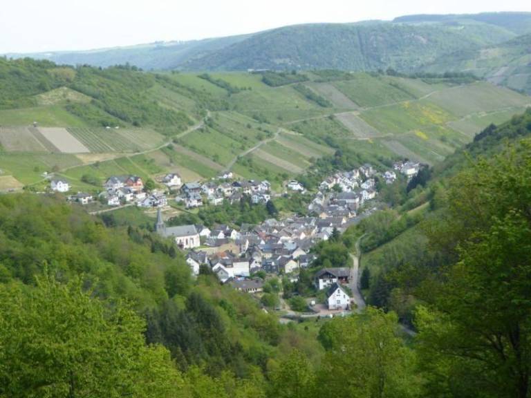foto23