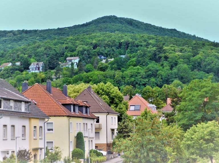 Ferienwohnung  Sankt Martin