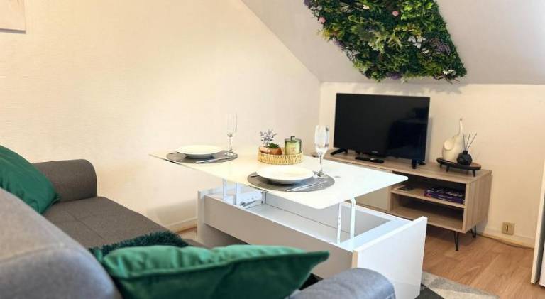 Wonderful rental apartment | Pets are welcome in Troyes