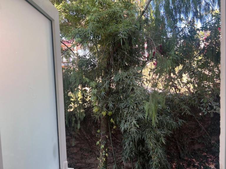 foto34