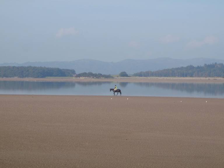 foto11