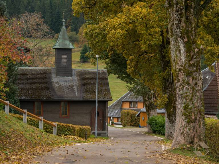 foto49