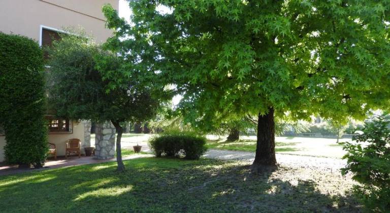 foto40