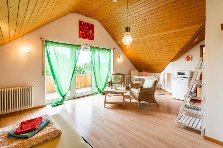 Apartment 'Jonagold' with Balcony and Wi-Fi — photo 3