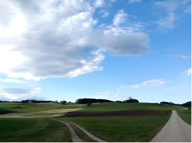 foto44