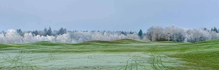 Ferienwohnung Alfsee