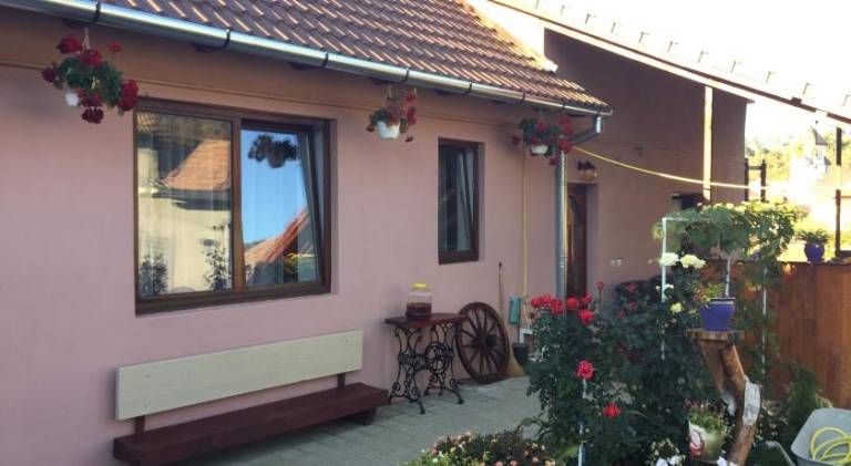 House Moșnei