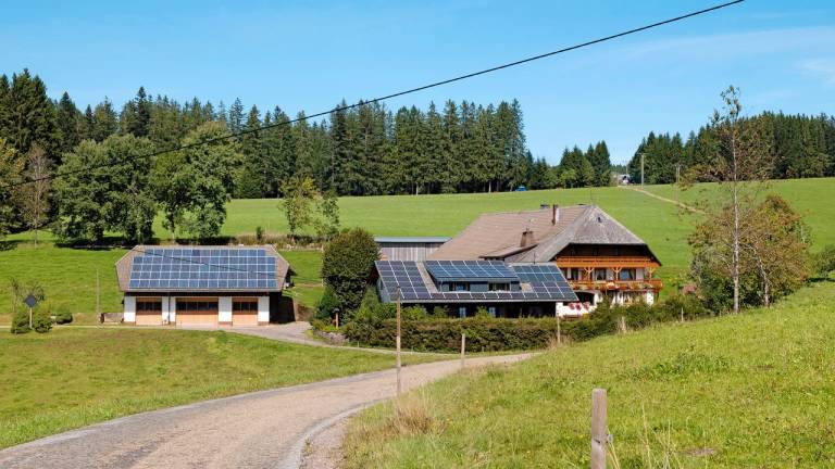 Ferienwohnung  Furtwangen im Schwarzwald