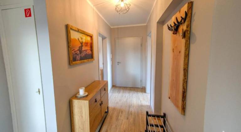 Beautiful holiday apartment | Pets are welcome — photo 4