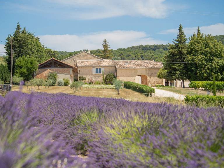 Maison de vacances Valréas