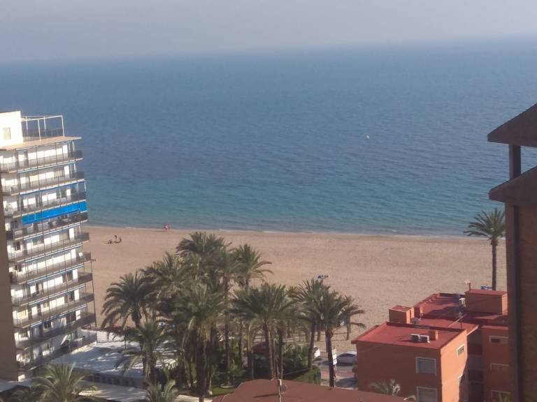 foto1