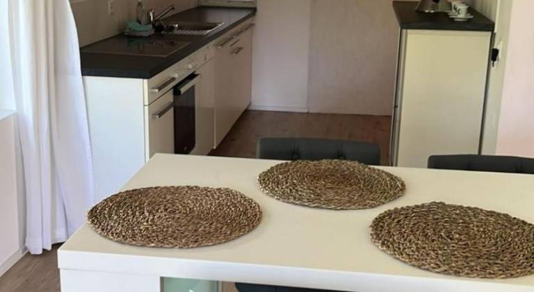 Rental apartment with 1 room for 2 persons in Zürich