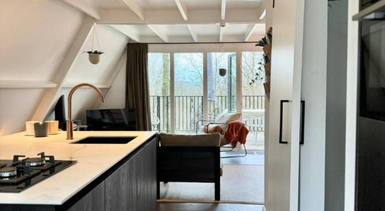 Chalet with pool — photo 2