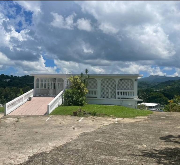 foto1
