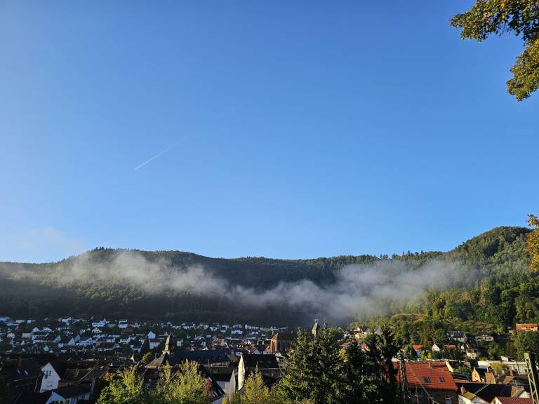 foto16