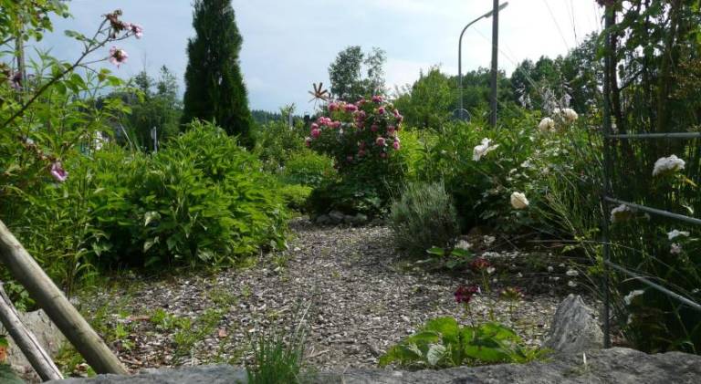 foto13
