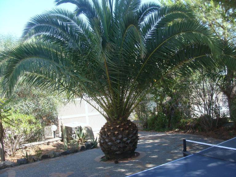 Ferienhaus in Vulcanello, Vulcano Porto für max. 4 Personen Ferienhaus in Vulcanello, Vulcano Porto für max. 4 Personen