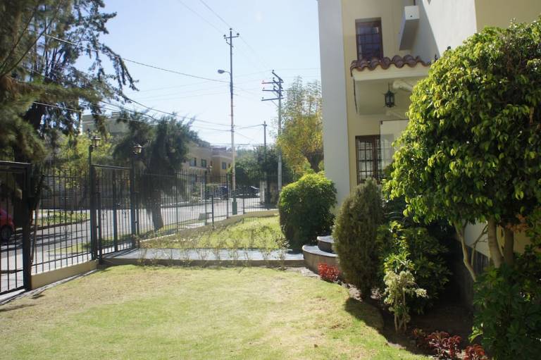 foto1
