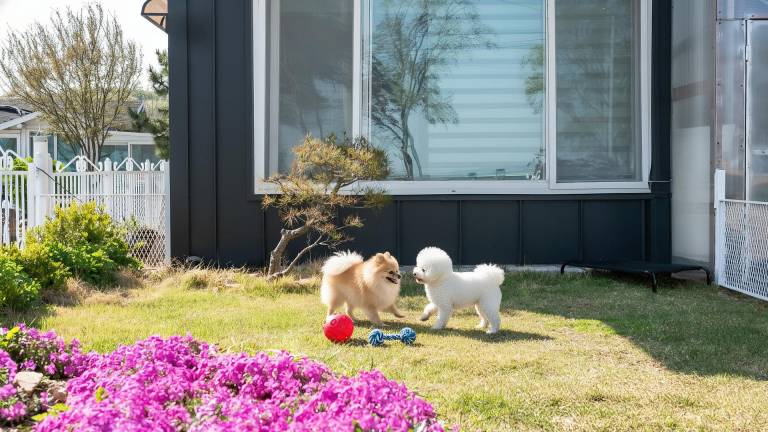 Yeongheungdo Sunset Spa Pension — photo 5