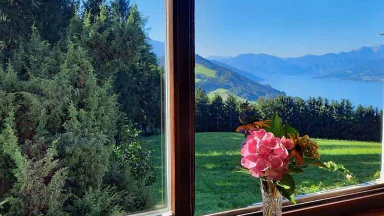 Ferienwohnung Traunsee
