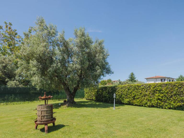 foto18