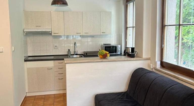 Rental apartment with 1 room for 5 persons — photo 5