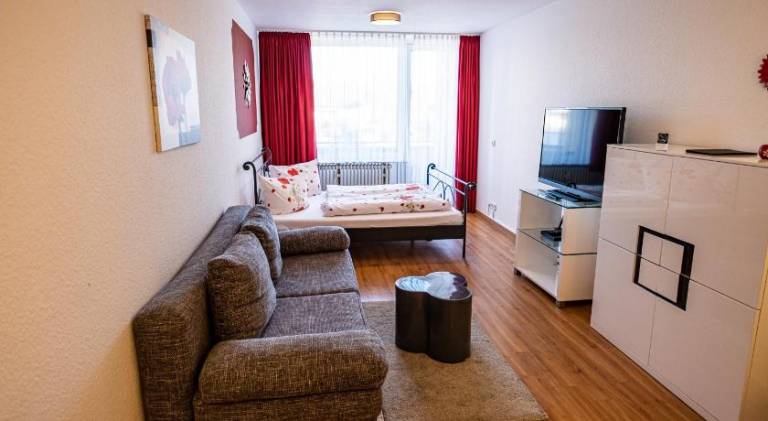 Charming rental apartment | Pets are welcome in Meersburg