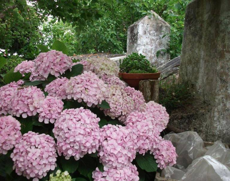 foto33