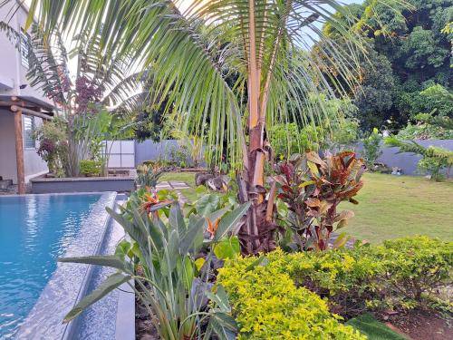Apartment  Maingard