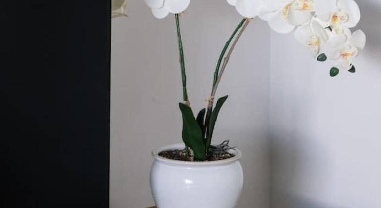 foto23
