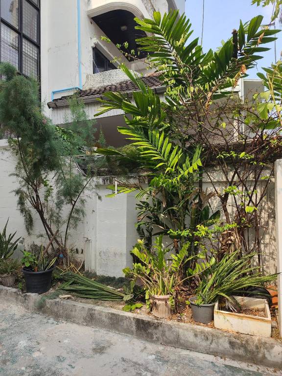 Villa with 1 room for 6 persons — photo 3
