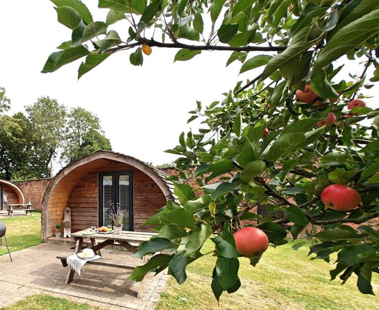 Charming camping suite with BBQ | Pet-friendly in Stafford