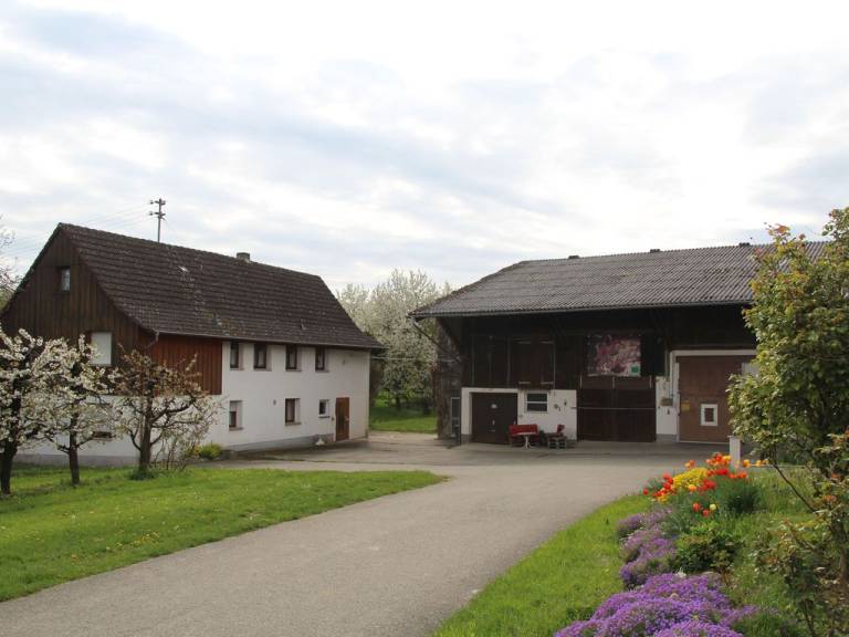 foto22