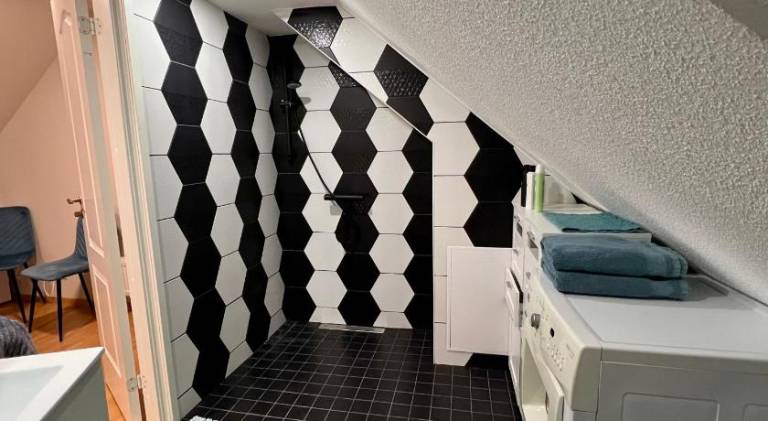 Karlova Manor Apartments — photo 3