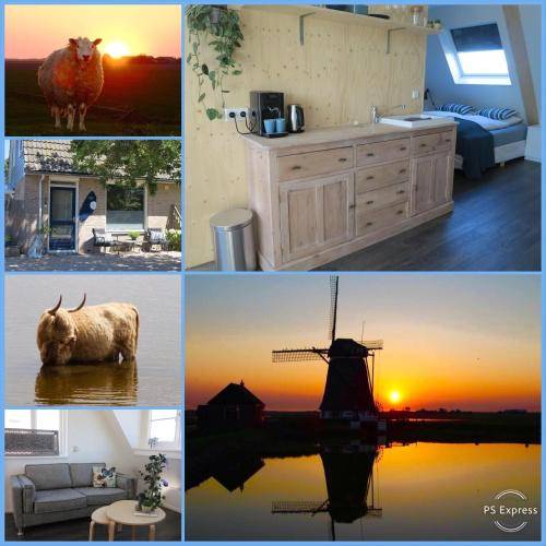 Bed & Breakfast Vlieland