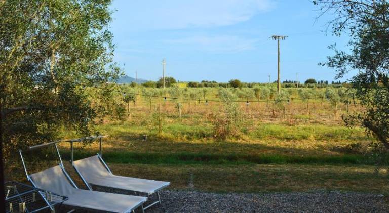 Villa Orta - Agriturismo con cucina Vegan, Plant-based Farmhouse — photo 5