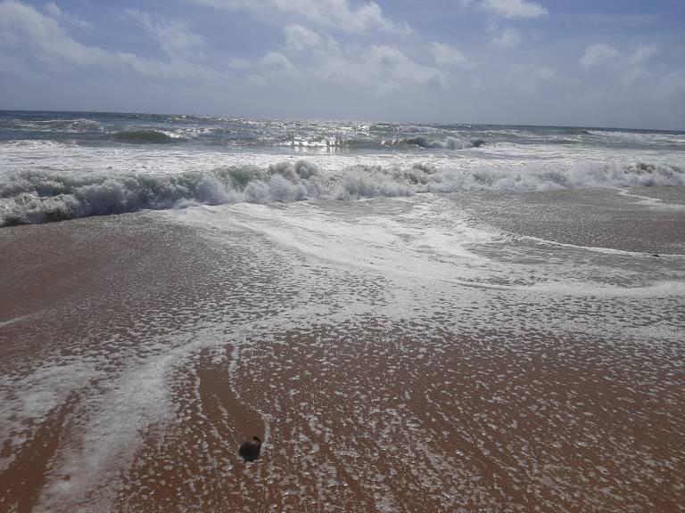 60 m&sup2; Ferienwohnung