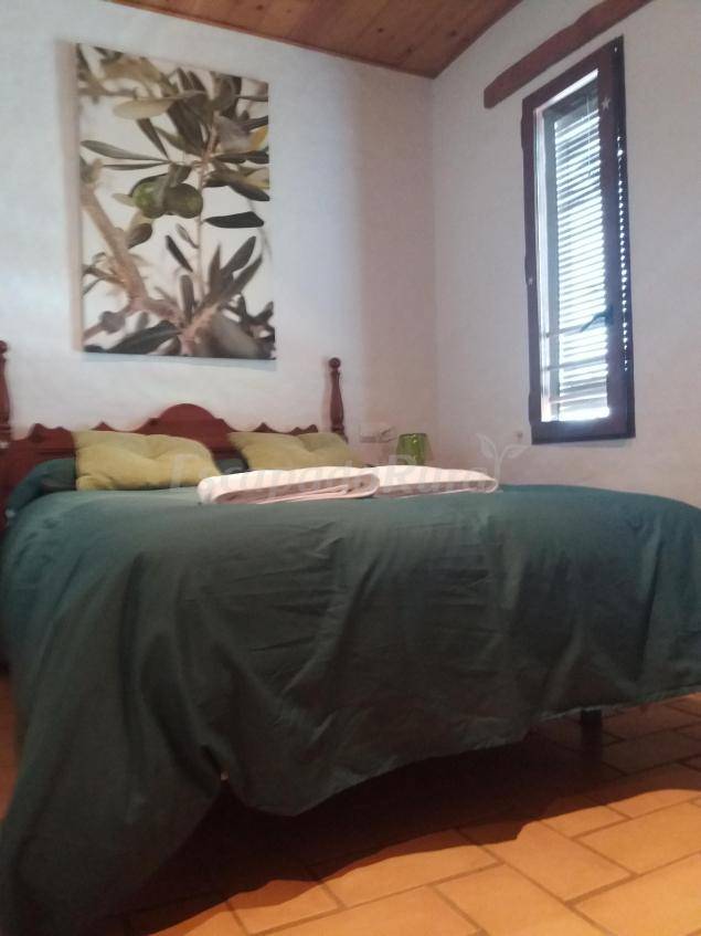 foto44
