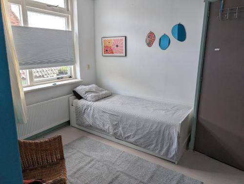 foto11