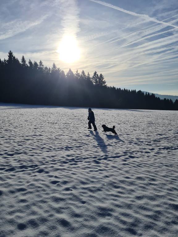 foto49