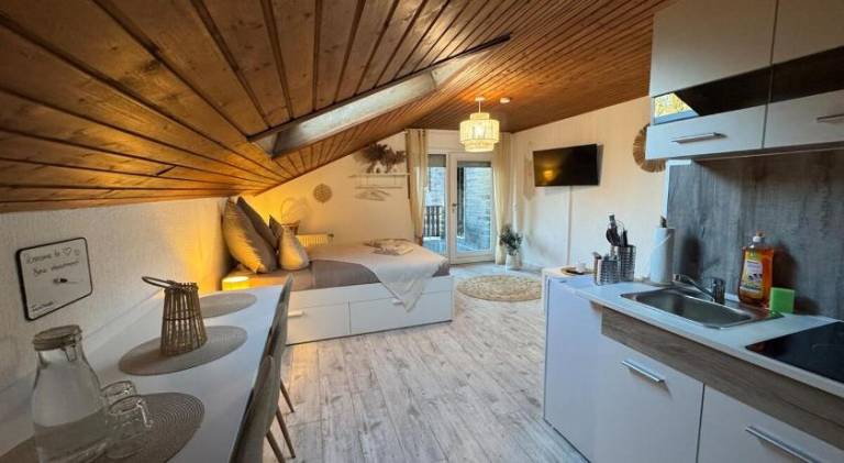 Rental apartment with 1 room for 3 persons — photo 3