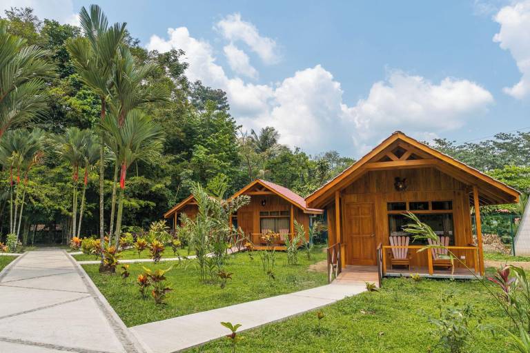 Natural Green Lodge — photo 5