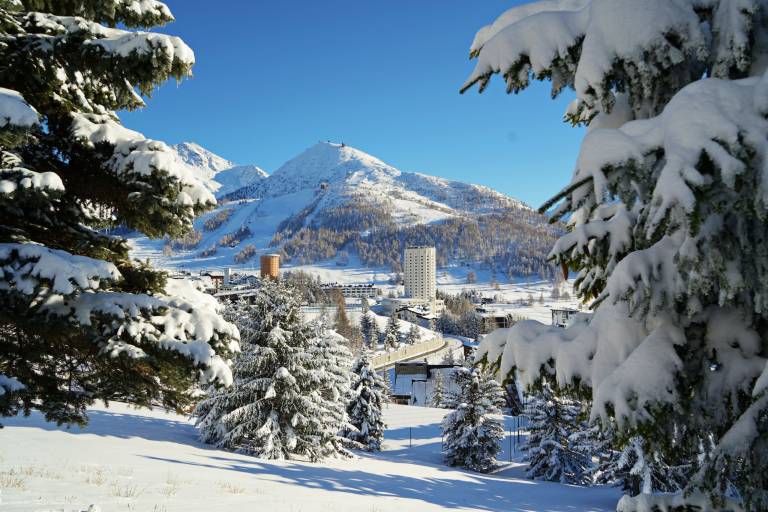 Appartamento  Pragelato