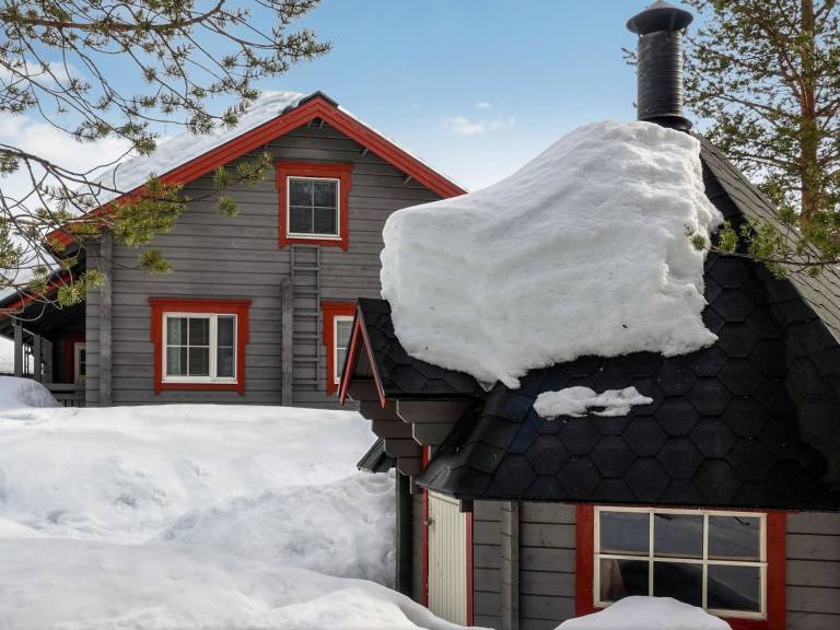 Vacation home with sauna — photo 3