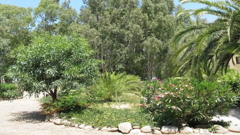 Appartement Calvi