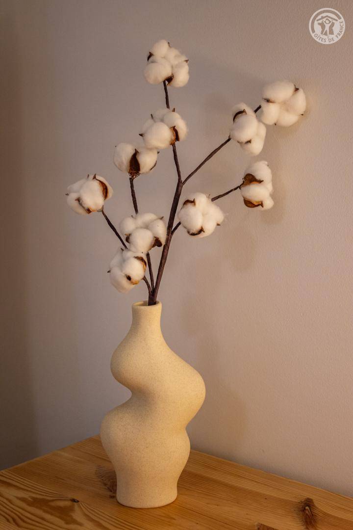 foto20